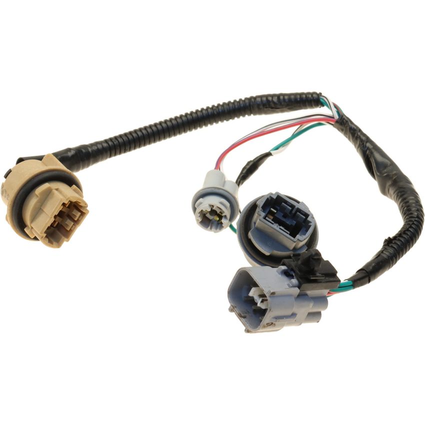 Genuine OEM Tail Light Bulb Socket 815550C030