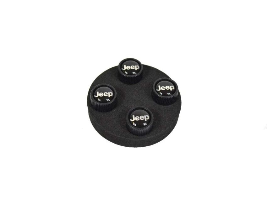 Genuine OEM 82214622 CAP KIT, Valve Stem
