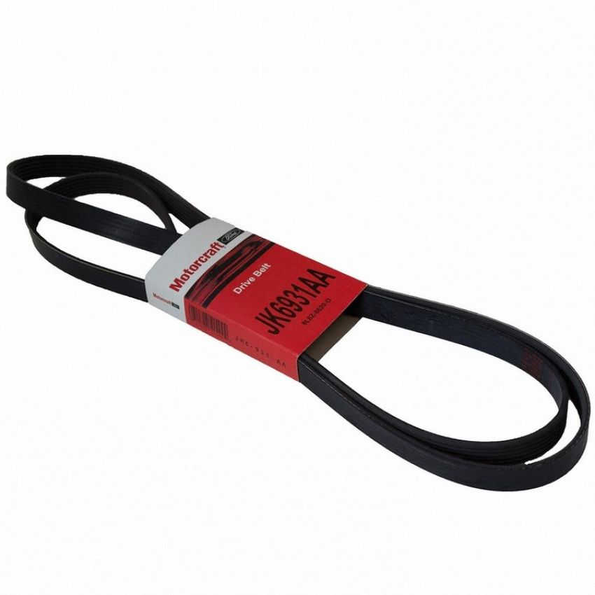 Genuine OEM 8L8Z8620D Accessory Belt