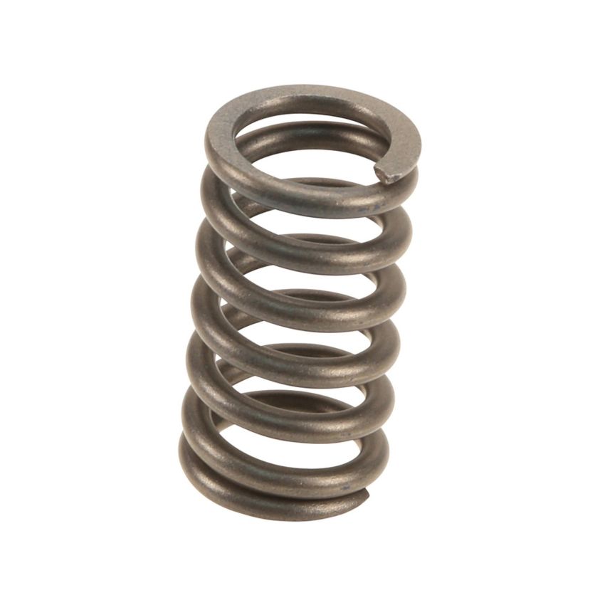 Genuine OEM Exhaust Spring 90501A0005