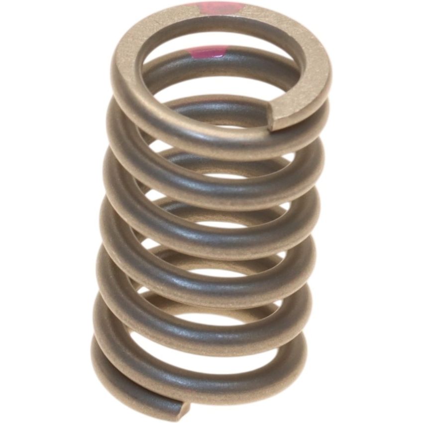 Genuine OEM 90501A0006 Exhaust Spring