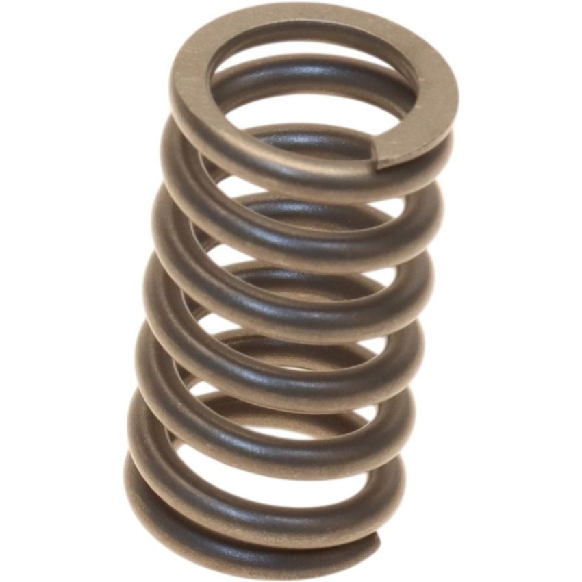 Genuine OEM 90501A0031 Exhaust Spring