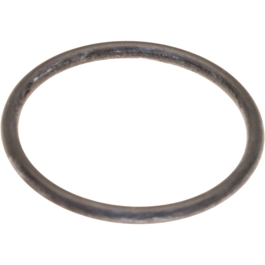 Genuine OEM Fuel Screen O-Ring 91120114300