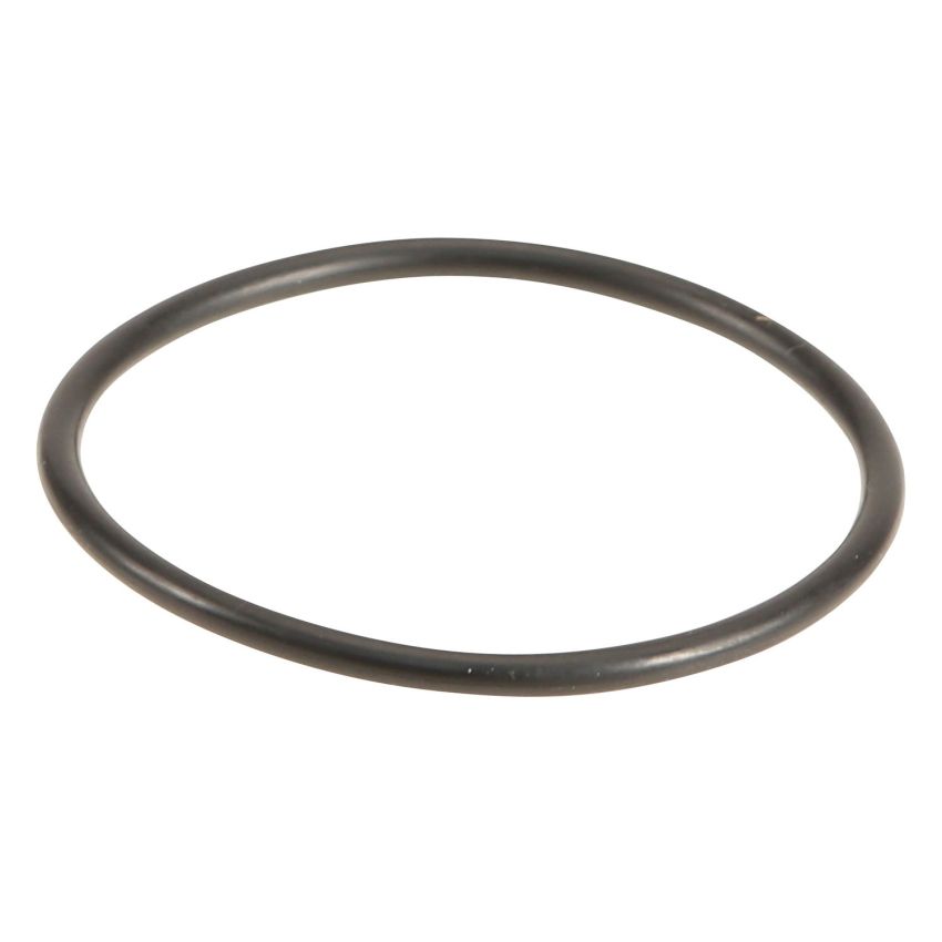 Genuine OEM AT Filter O-Ring 91301RAY004