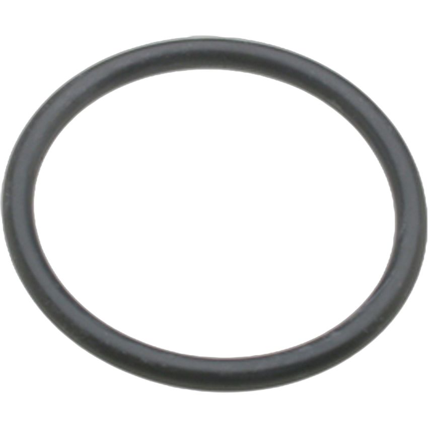 Genuine OEM AT Filter O-Ring 91305PN4003