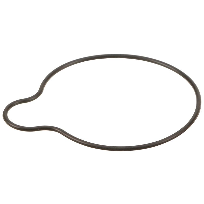 Genuine OEM P/S Seal 91349R70P01