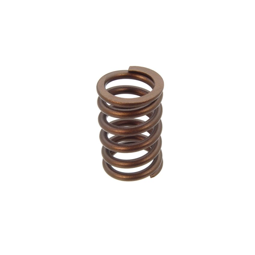 Genuine OEM Valve Spring 9135130