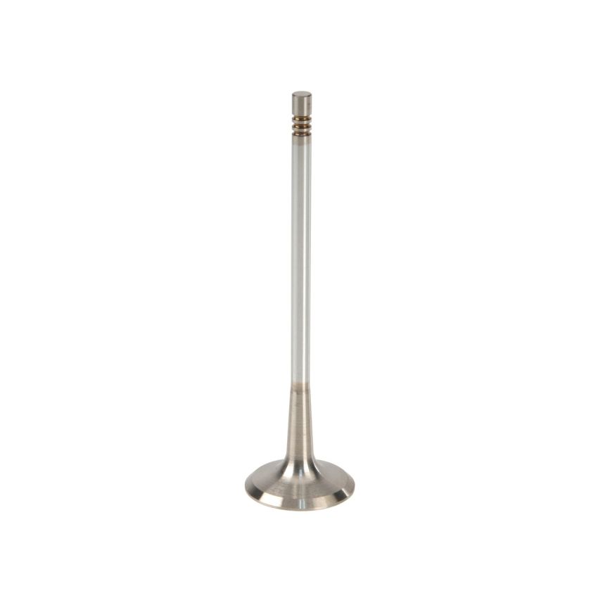Genuine OEM Exhaust Valve 9179219