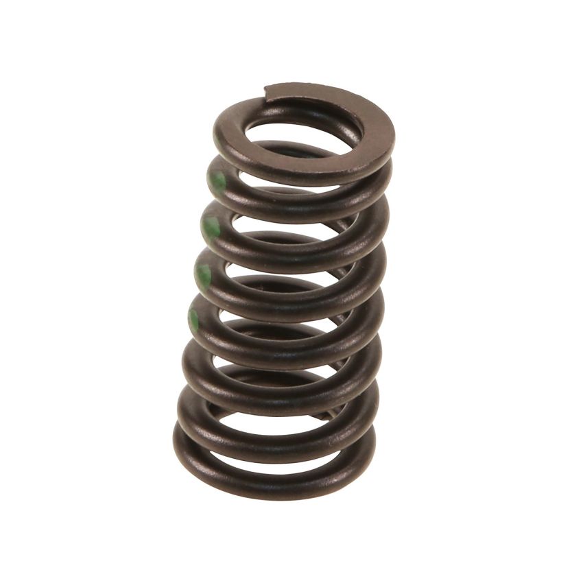 Genuine OEM 95510562300 Valve Spring