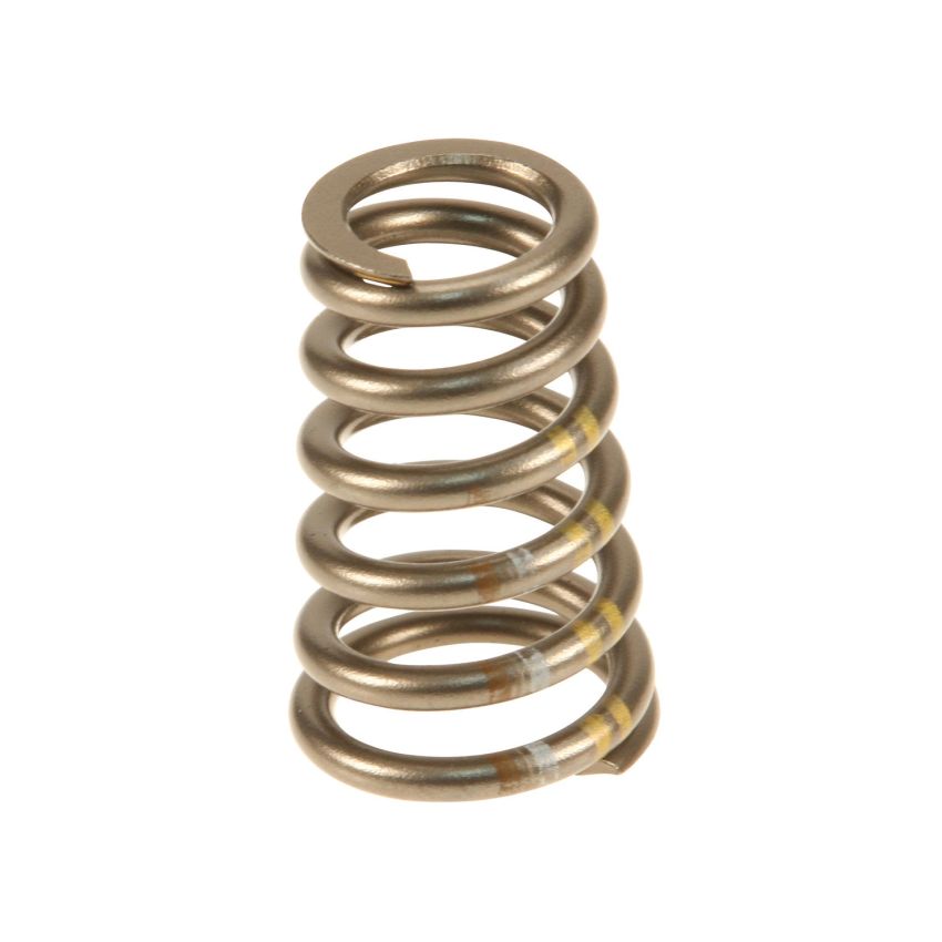 Genuine OEM Valve Spring 99610511801