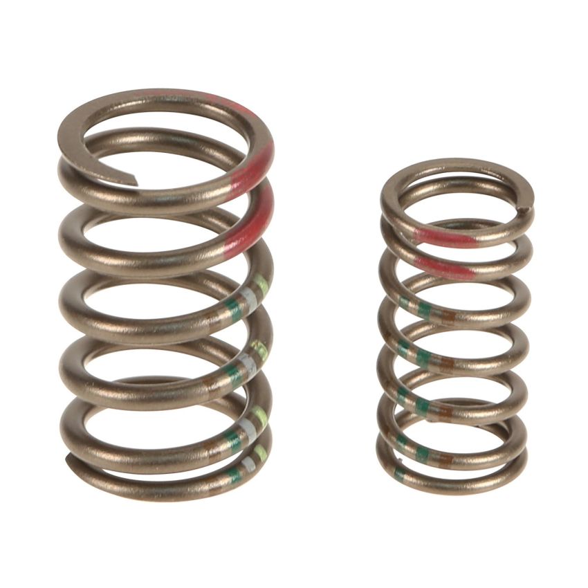 Genuine OEM Valve Spring 9A110511501