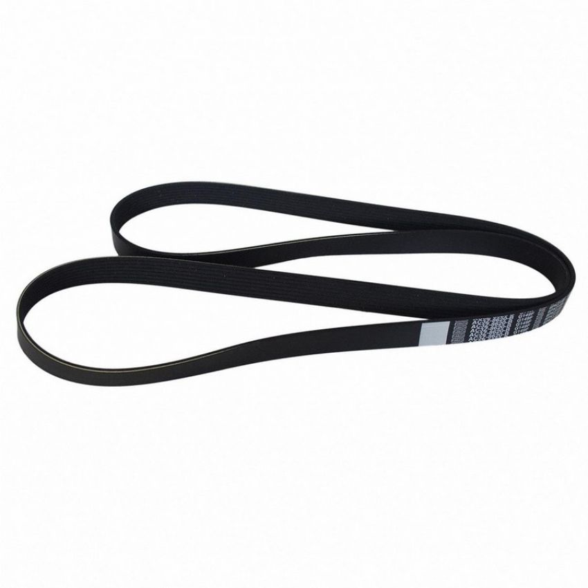 Genuine OEM AC3Z8620B Accessory Belt