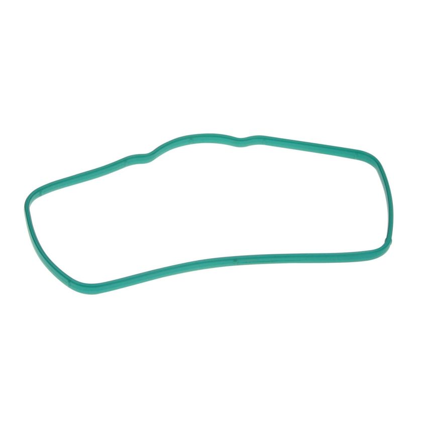 Genuine OEM Intake Manifold Gasket AJ87992