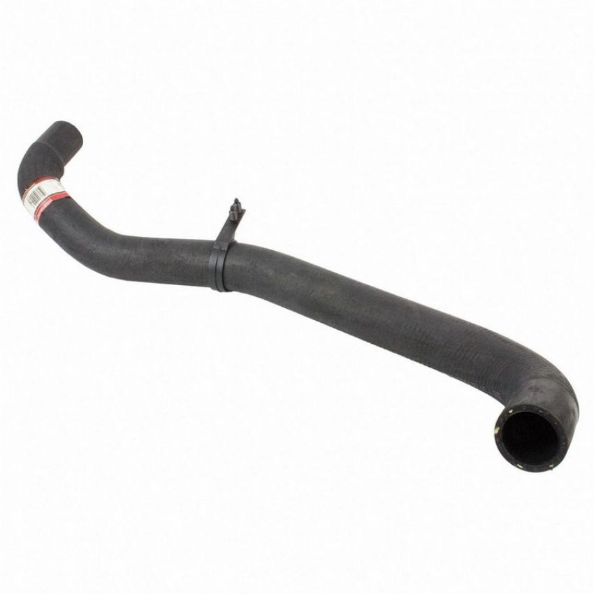 Genuine OEM AL3Z8260B Radiator Hose