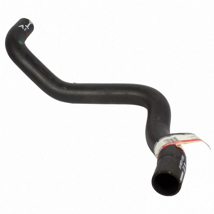 Genuine OEM BB5Z8286G Radiator Hose