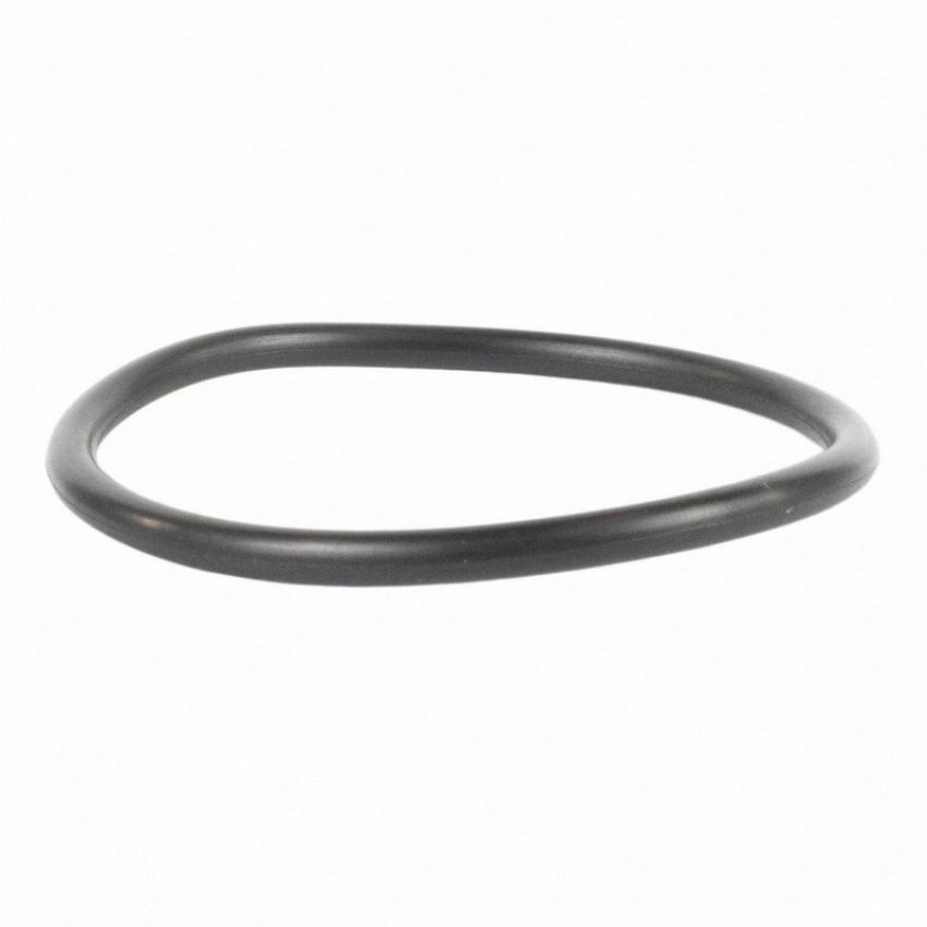 Genuine OEM BC3Z8590B Water Neck Gasket and O-Ring
