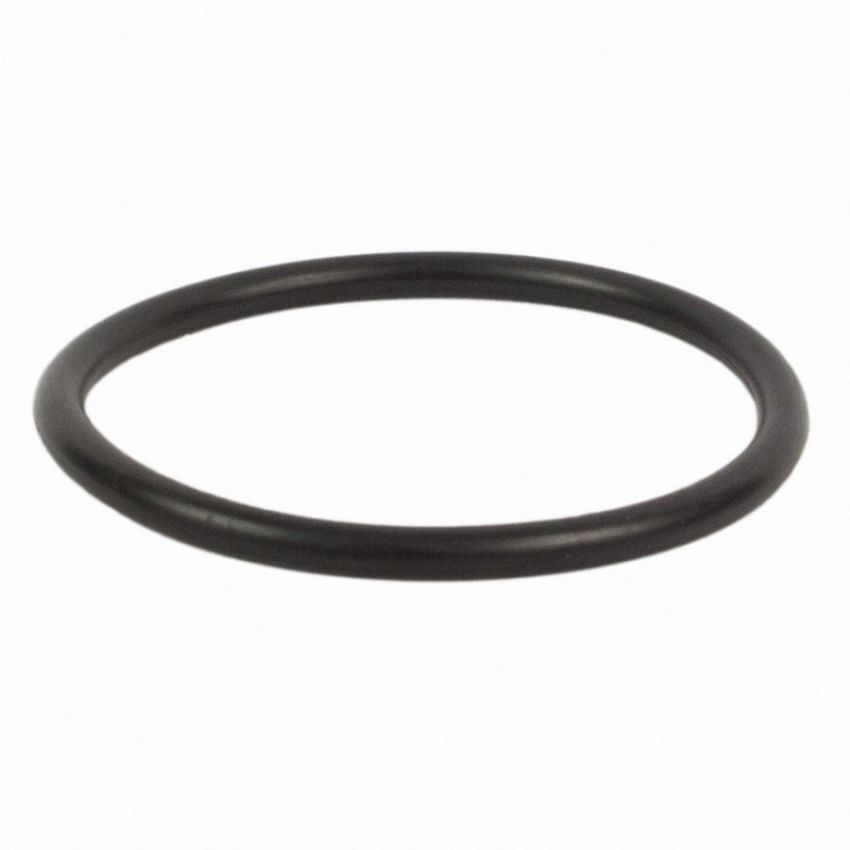 Genuine OEM BC3Z8590C Water Neck Gasket and O-Ring
