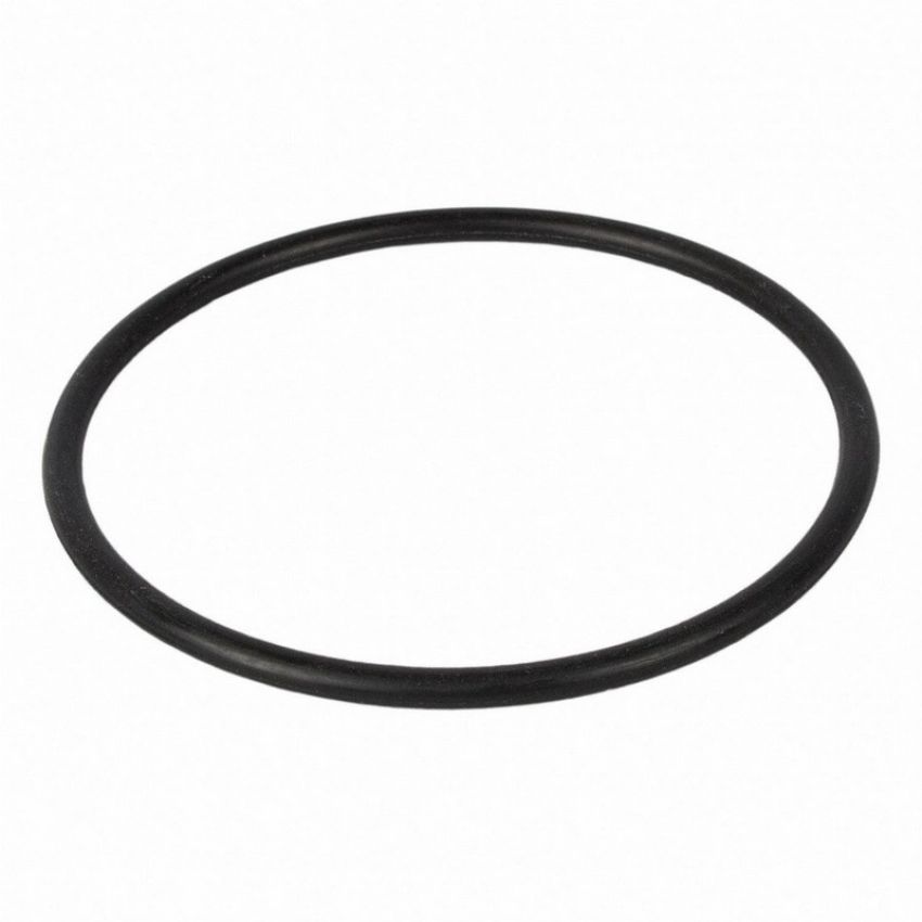 Genuine OEM BC3Z8590D Water Neck Gasket and O-Ring