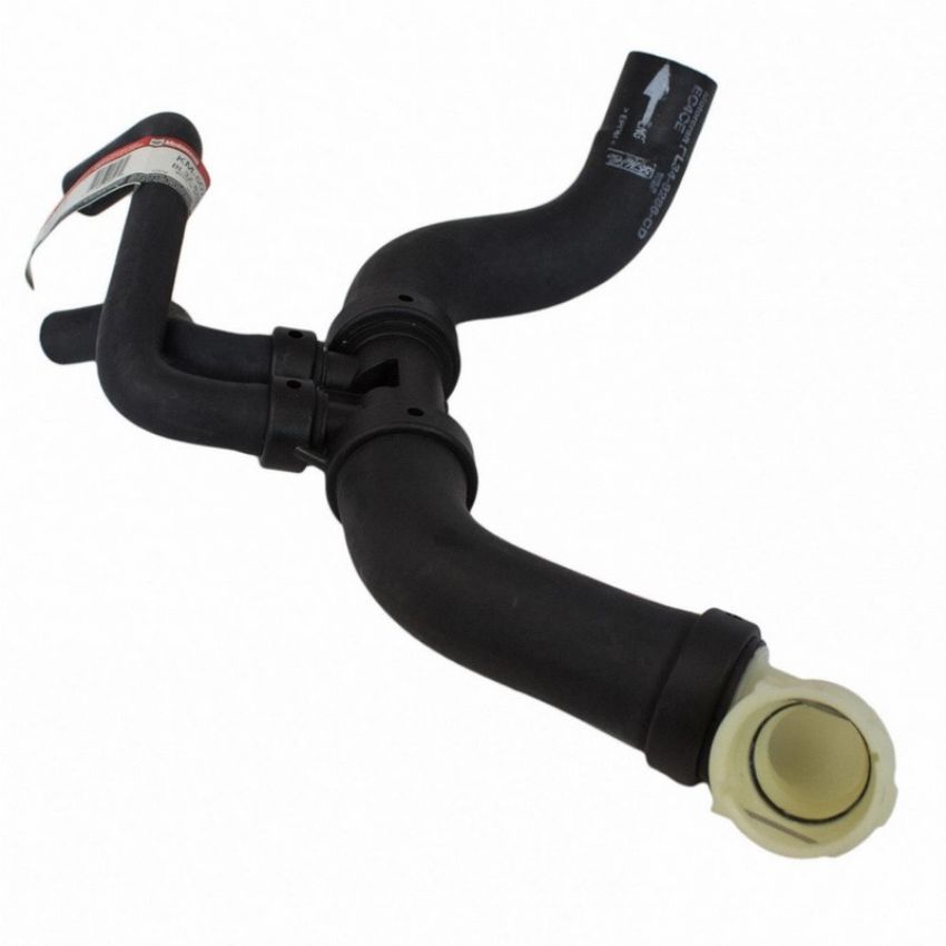 Genuine OEM BL3Z8286C Radiator Hose
