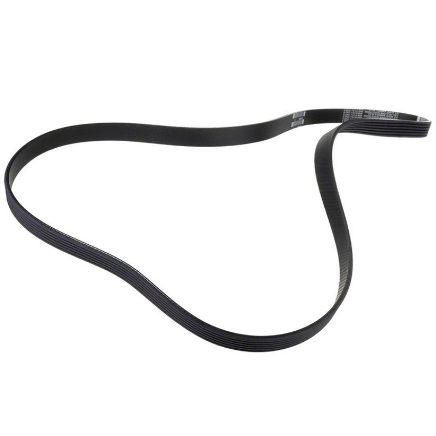 Genuine OEM BL3Z8620A Accessory Belt