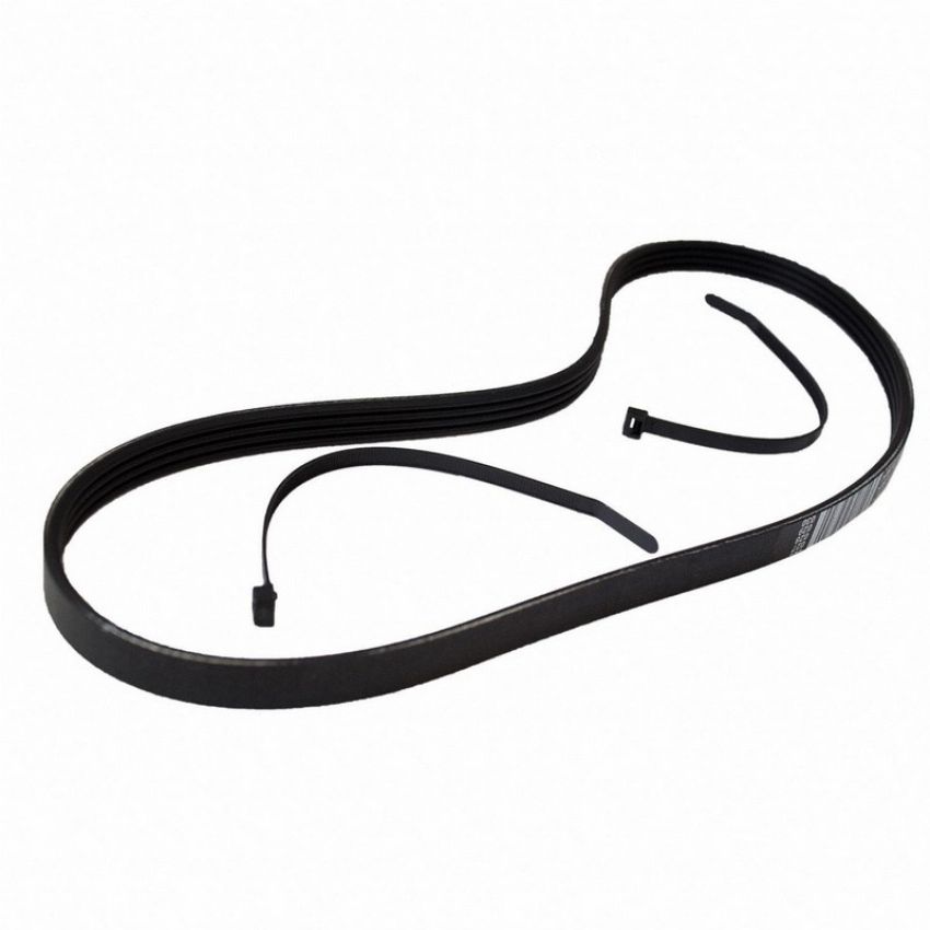 Genuine OEM BT4Z8620B Accessory Belt