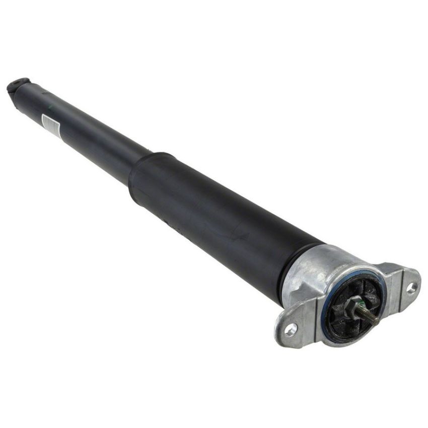 Genuine OEM BV6Z18125G Shock and Strut