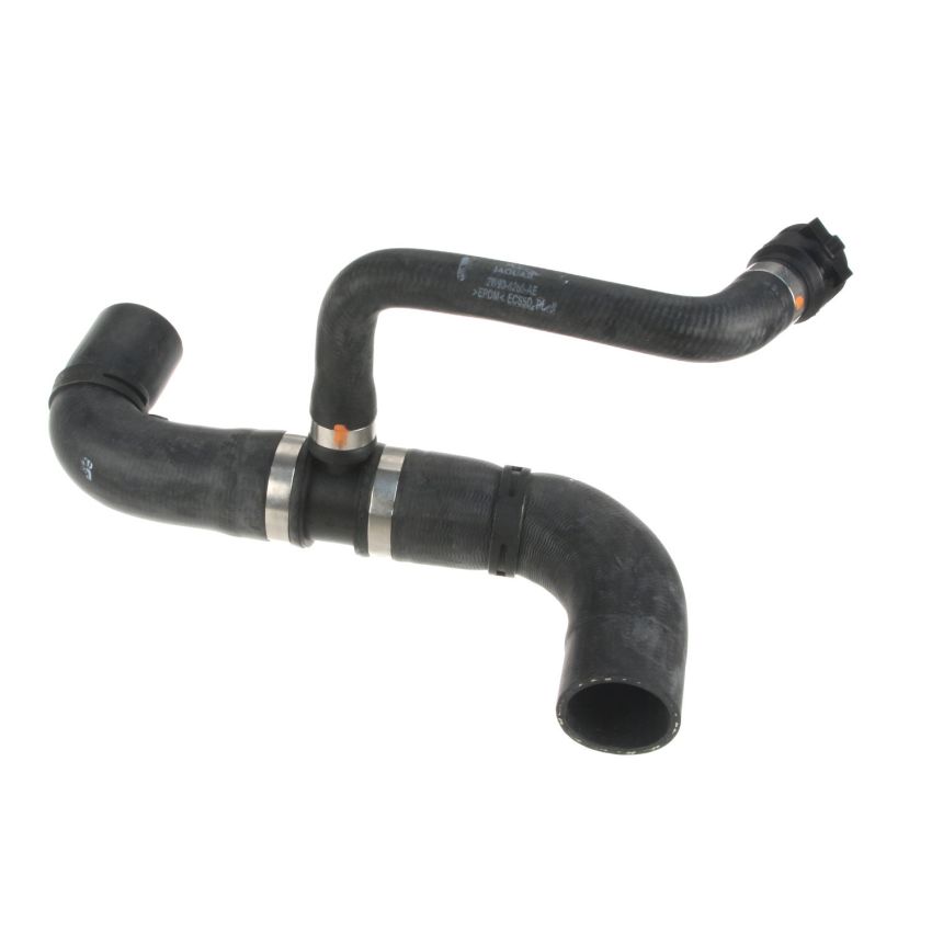 Genuine OEM Radiator Hose C2C22265