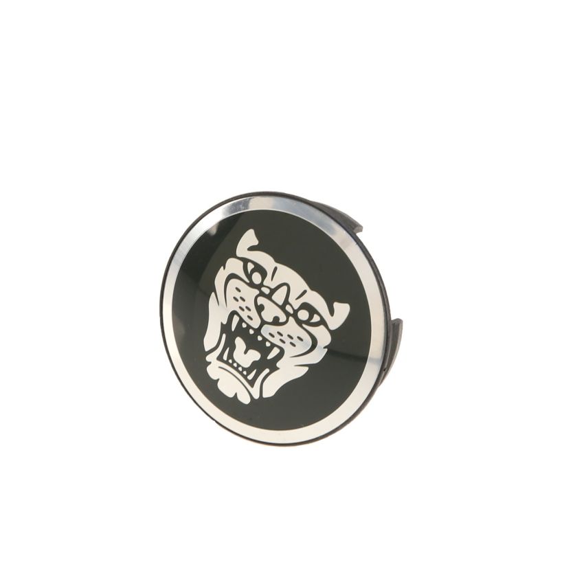 Genuine OEM Center Cap C2C30080