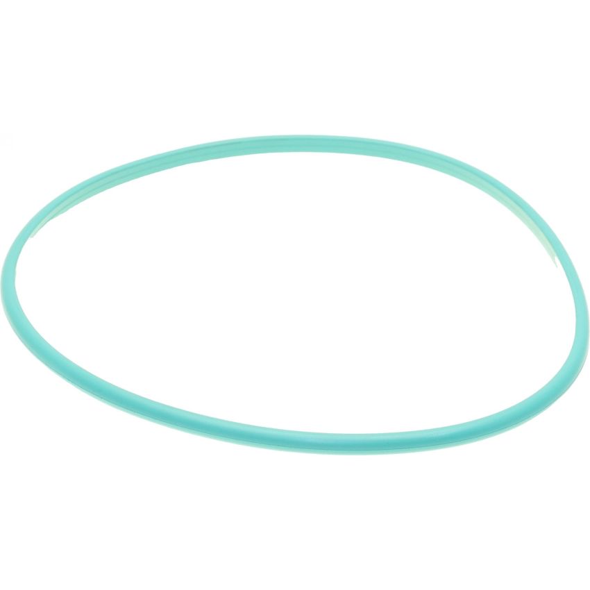 Genuine OEM Fuel Pump Tank Seal C2S8592