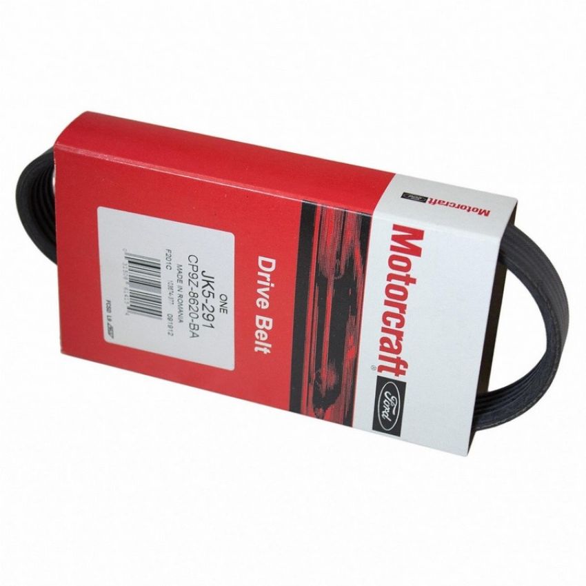 Genuine OEM CP9Z8620BA Accessory Belt