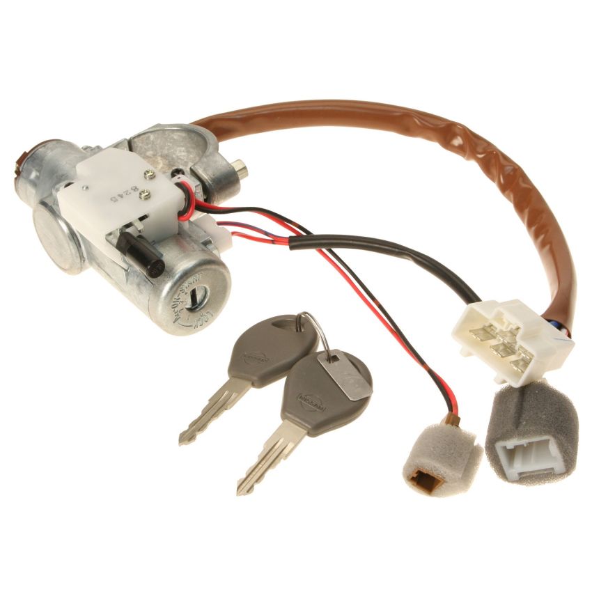 Genuine OEM Ignition Lock Assembly D870040F65