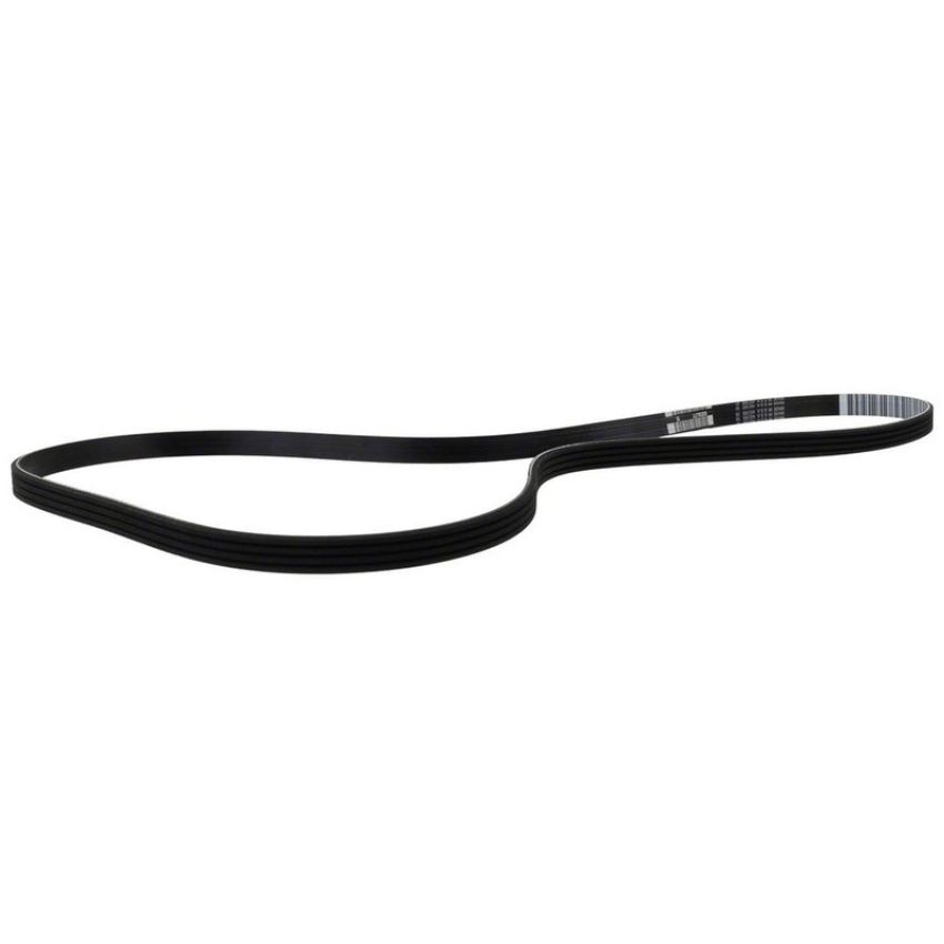 Genuine OEM DA8Z8620G Accessory Belt