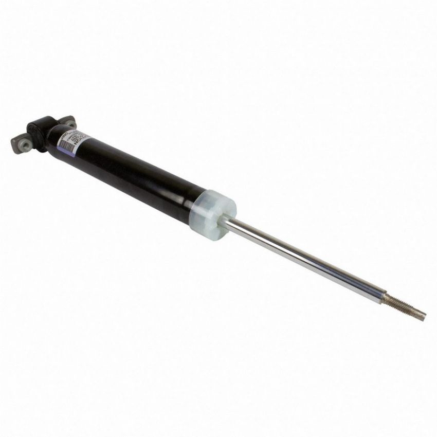 Genuine OEM DG9Z18125T Shock and Strut