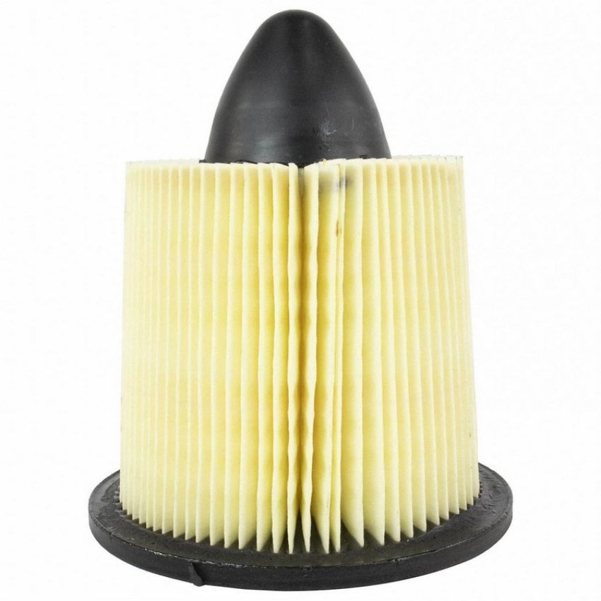 Genuine OEM F57Z9601A Air Filter Element