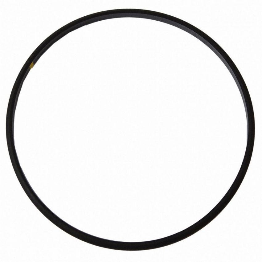 Genuine OEM F81Z8255AA Water Neck Gasket and O-Ring