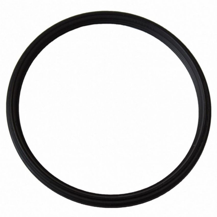 Genuine OEM F87Z8255AA Water Neck Gasket and O-Ring