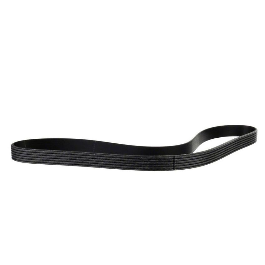 Genuine OEM GS7Z8620A Accessory Belt