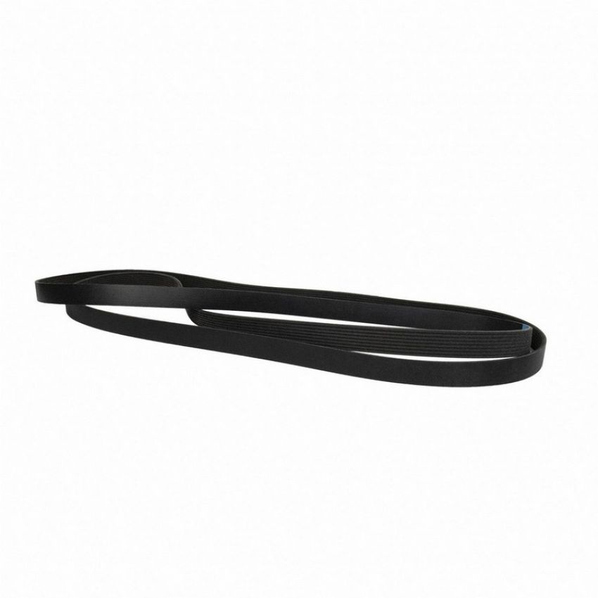 Genuine OEM HC3Z8620A Accessory Belt