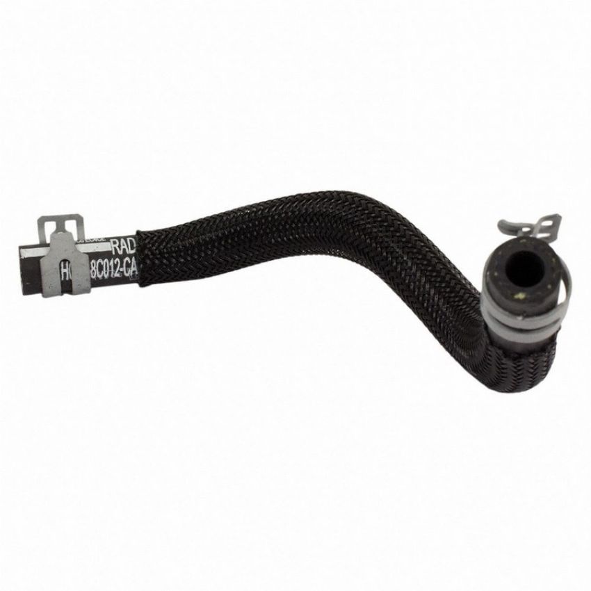 Genuine OEM HC3Z8B081B Radiator Hose