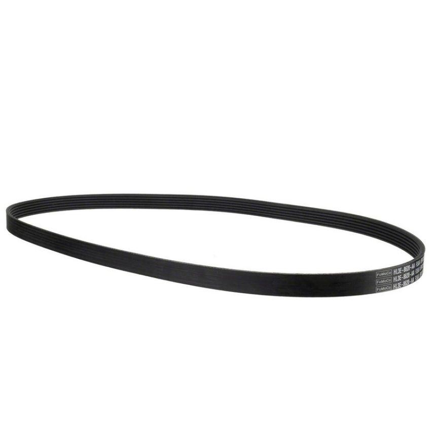 Genuine OEM HL3Z8620A Accessory Belt