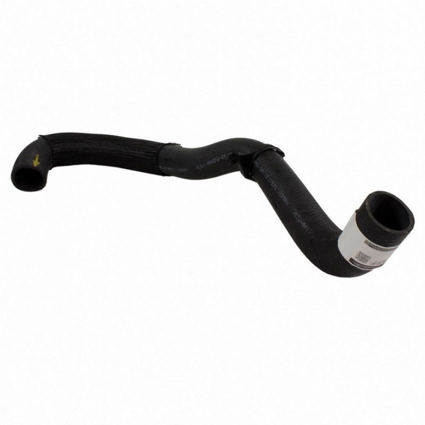 Genuine OEM JC3Z8286A Radiator Hose