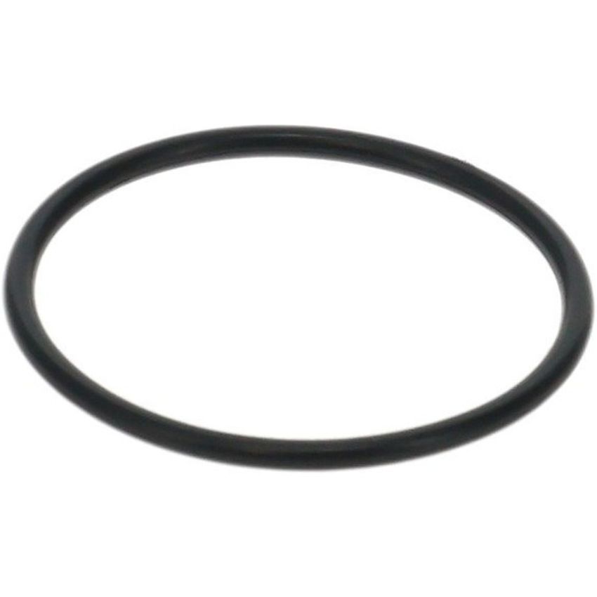 Genuine OEM Fuel Pump O-Ring L3K913ZE5