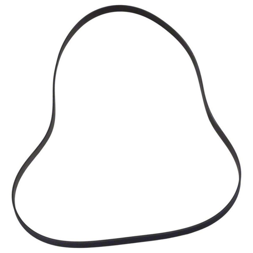 Genuine OEM LC3Z8620C Accessory Belt