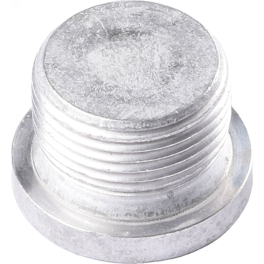 Genuine OEM AT Fill Plug N10037105