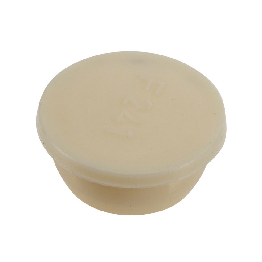 Genuine OEM Engine Expansion Plug N10041102