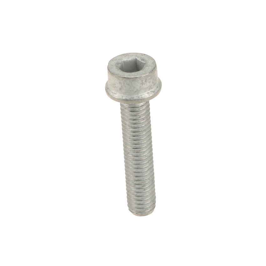 Genuine OEM Crankshaft Pulley Bolt N90339605
