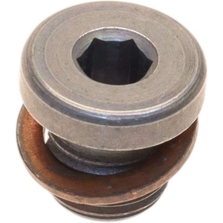 Genuine OEM Coolant Bleed Screw N90534203