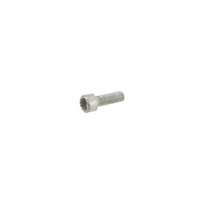 Genuine OEM Crankshaft Pulley Bolt N91005902