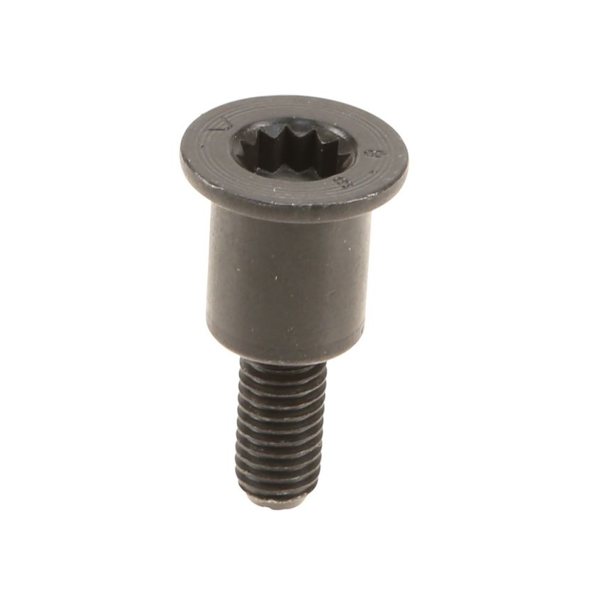 Genuine OEM Timing Chain Rail Bolt N91130301