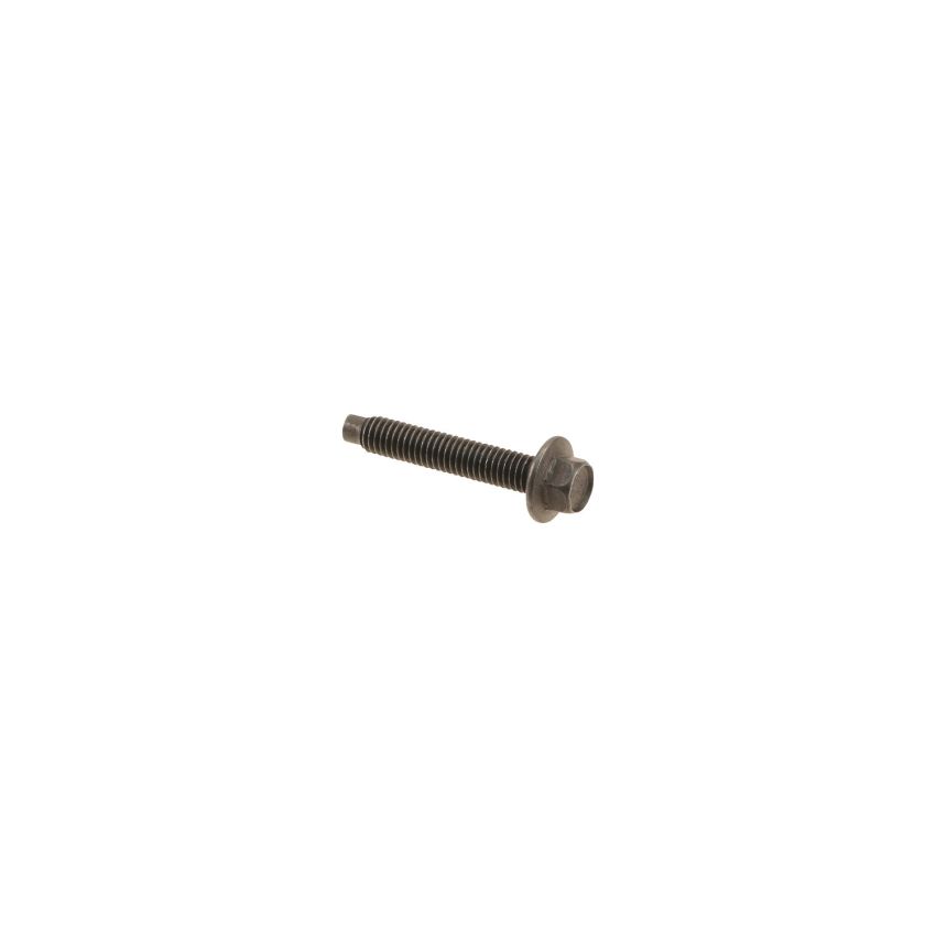 Genuine OEM Timing Chain Rail Bolt W715118S300